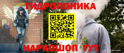 крисы Усть-Илимск