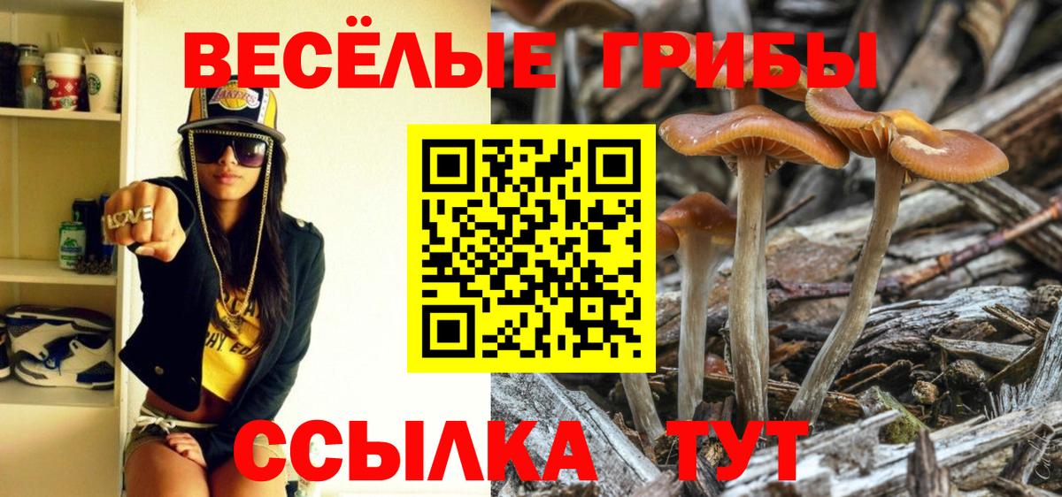 Мурманск  Псилоцибиновые грибы мухоморы  Вход с VPN 