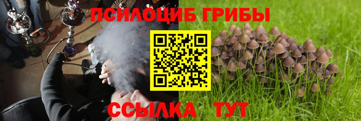 Меф Мурманск